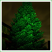 Tannenbaum